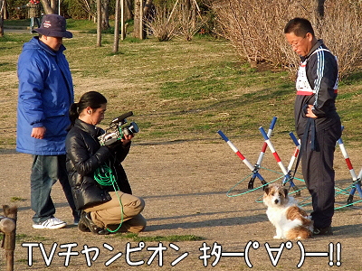 ¥À¥á¸¤¤·¤Ä¤±Áª¼ê¸¢¡ú¦