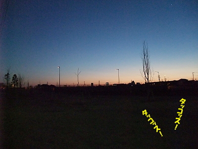·îÍËÆü¤Ï¥¿¥³¥¹¤ÎÆü¡