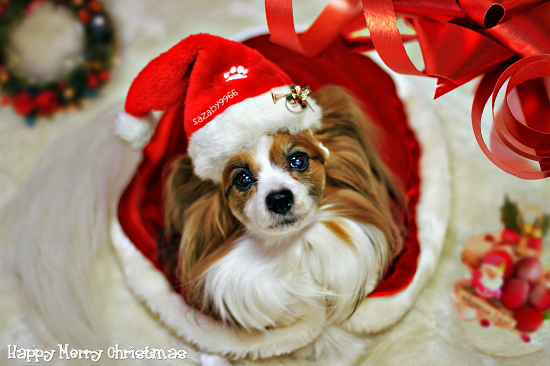 ¡ú¡ù¡úHappy Merry Christmas¡ú¡ù¡ú¡¡01