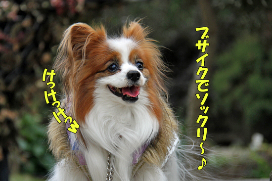 ¤ª»¶Êâ¥ì¥Ó¥å¡¼¡ÊÁ°ÊÓ¡Ë¡¡07