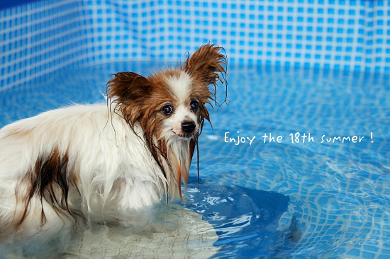 Enjoy the 18th summer !