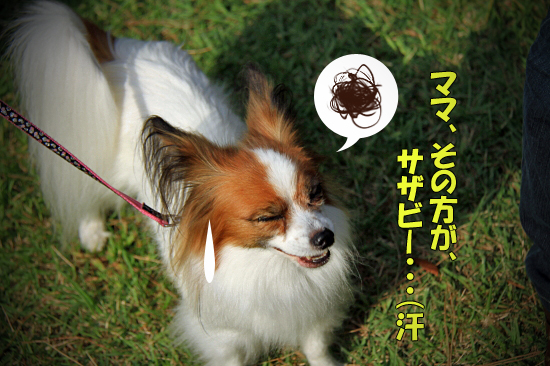¡Ú¥µ¥¶¥ª¥Õ2011¡Û part6¡¡18