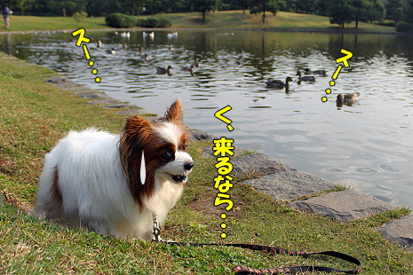 ¥«¥â¤Ê¤é¡¦¡¦¡¦¨