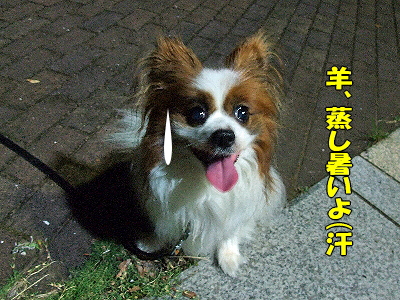 ¾ø¤·½ë¤¤Ìë¢