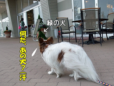 DOG GARDEN CAFE¦