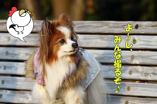 ¤â¤¦°ìÅÙ¡¢¥Ë¥³¥é¥¹¡¡30