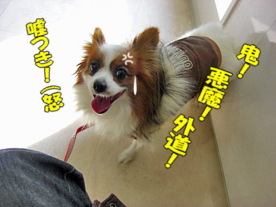 ¥»¥«¥ó¥É¥ª¥Ô¥Ë¥ª¥ó¥