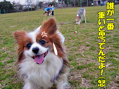 郎°ìÈÖ¡¦¡¦¡¦¡¦°