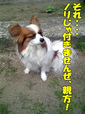 ¥Î¥ê¤¸¤ã̵Íý¤Ç¤¹¤¼¡¦¡¦¡¦¡¦