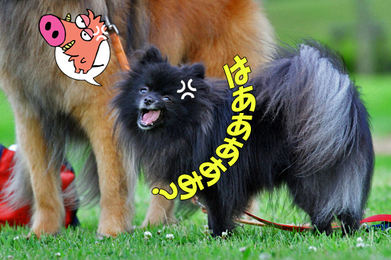 º½Åü²°¤µ¤ó¡¢Ãµ¤·¤Æ¤Þ¤¹¡¡07