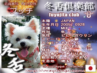 928-pucchi-fuyu