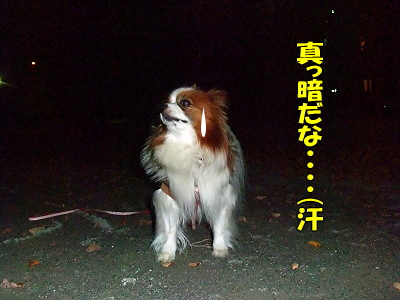¥Ó¥¬¥í¤È¿©»ö¢ö¤