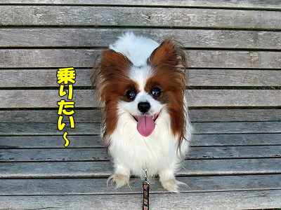 ¥Ù¥ó¥Á©