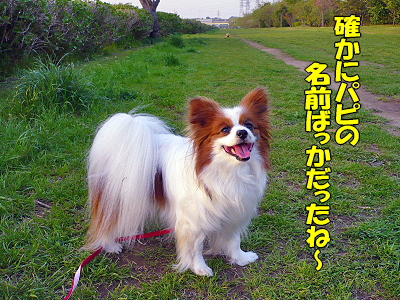Àµ²ò¼Ô¿¿ô¡¦¡¦¡¦orz¤
