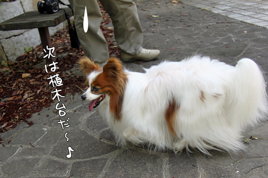 ¡ÚWan 2011¡Û¡Ê¸åÊÓ¡Ë¡¡05