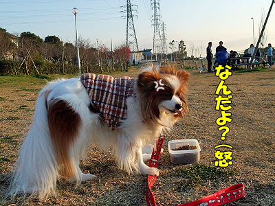 ¥À¥á¸¤¤·¤Ä¤±Áª¼ê¸¢¡ú¥