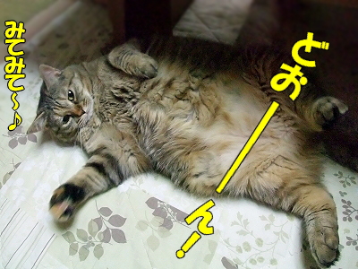 ¤ªµ×¤·¤Ö¤ê¢