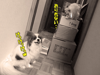 ¥ª¡¼¥Þ¥¤¥¬¥Ã¡ª¤