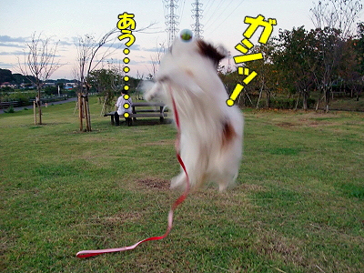 ±«¤â°ìÃÊÍî¬