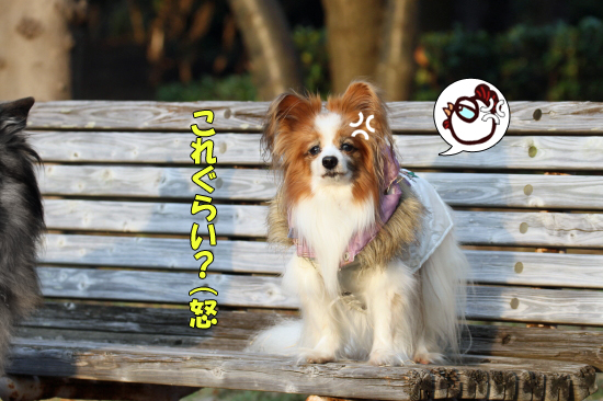 ¤â¤¦°ìÅÙ¡¢¥Ë¥³¥é¥¹¡¡08