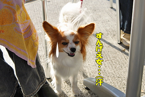 ららぽでキットカット★��