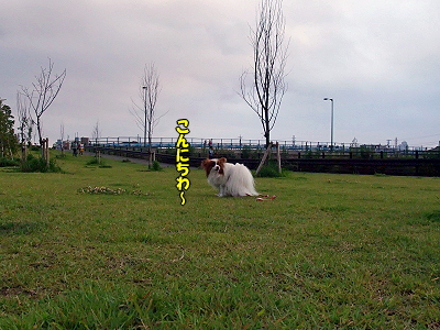 ½ë¤µ¤Ç¥Ü¥±¥Ü¥±¡¦¡¦¡¦¡¦¤