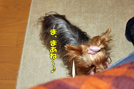 ¤æ¤ë¤æ¤ë¤ÊÆü¡¹¬