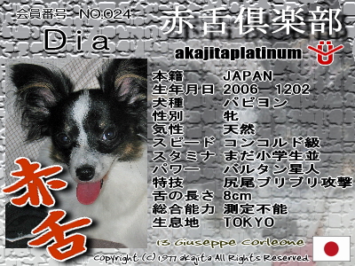 024-Dia