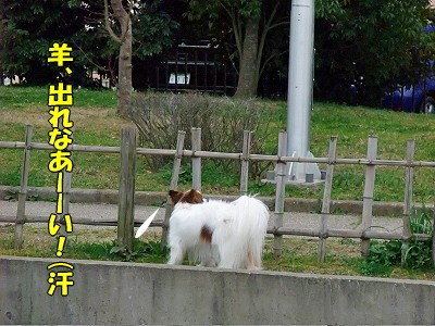 ¤¹¤×¤ê¤ó¤°¡ú¥×¥Á¥ª¥Õ part3©