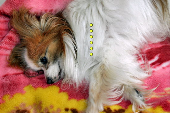¤ª¤Ï¤è¤¦¡¦¡¦¡¦¢ö¡¡05