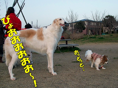 ½Õ¤Î¶¯É÷¡ú¥