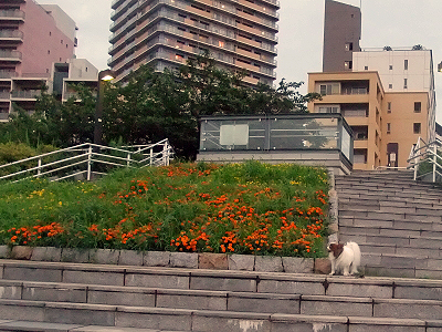 ¤¢¤Ã¤Ä¤¤¡¦¡¦¡¦¡¦¢