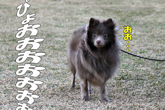 ÆîÉ÷Âз衡14