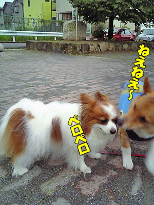 ¤Í¤¨¤Í¤¨¡Á