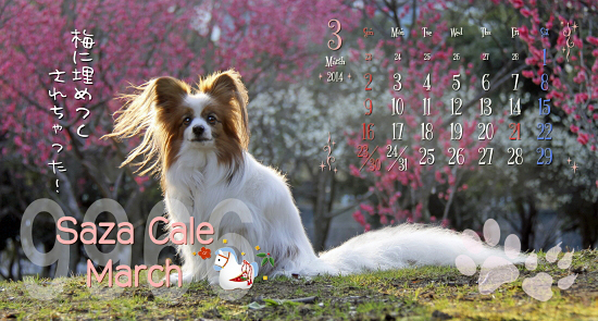 Ìá¤Ã¤Æ¤¤Þ¤·¤¿¡¦¡¦¡¦¡Ê´À 01