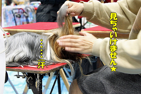 Åìµþ¥¤¥ó¥¿¡¼2009¦