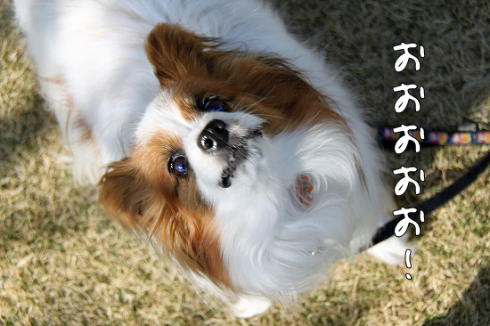 ¤ª²Ö¸«¥ª¥ó¥é¥¤¥ó¡ÊÁ°ÊÓ¡Ë¡¡01