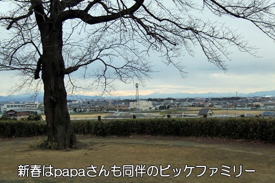 ¸Åʯ¤Ç¿·Ç¯²ñ¡¦¡¦¡¦¡¡05