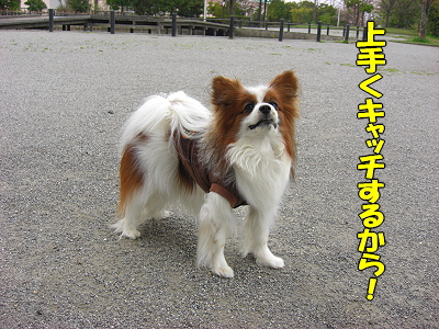½Õ±«¡¦¡¦¡¦¥