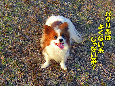 GOLDEN SAZABY¬