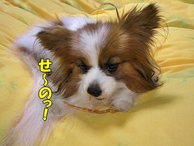¥µ¥¶¥Ó¡¼¤ÎÉʳʬ