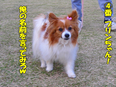 Àµ²ò¼Ô¿¿ô¡¦¡¦¡¦orz