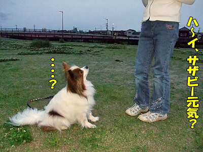 µº¤ì¡¦¡¦¡¦¡¦£