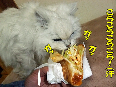 Ã¥¤¤¹ç¤¤¡¦¡¦¡¦