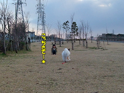 ¥ª¥Õ²ñ¡ú¾®³ØÀ¸¡Ê¤¿¤Ö¤ó´°Á´Èǡˬ