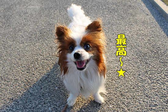ºù¤Î²¼¤Ç¤¸¤ã¤ó¤¬¤ê¤¢¤ó¡ú¡ù¡ú¬