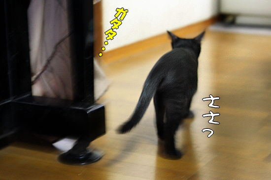 ¥¯¥·¥ã¥È¥ê¥¢È¯¸«¡¦¡¦¡¦¡ª«