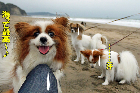 ¾¡±º¥ª¥ó¥é¥¤¥ó¡¡part2¨
