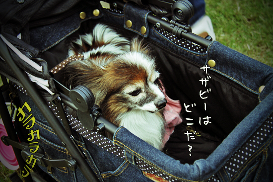 ¡Ú¥µ¥¶¥ª¥Õ2011¡Û part6¡¡02