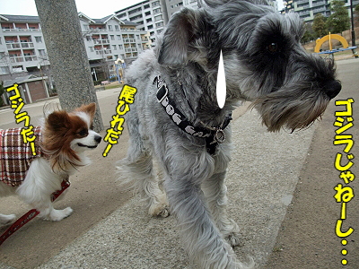 JOY¤È¶¦¤Ë¡¦¸åÊÔ¨